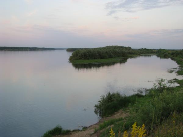 Изображение 134