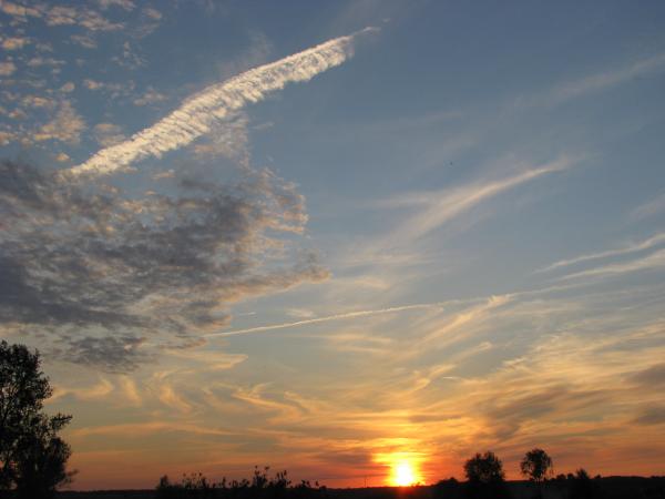 Изображение 135