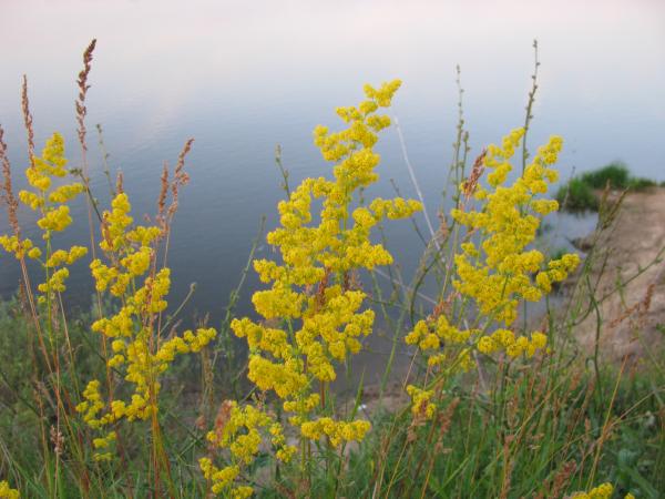 Изображение 140