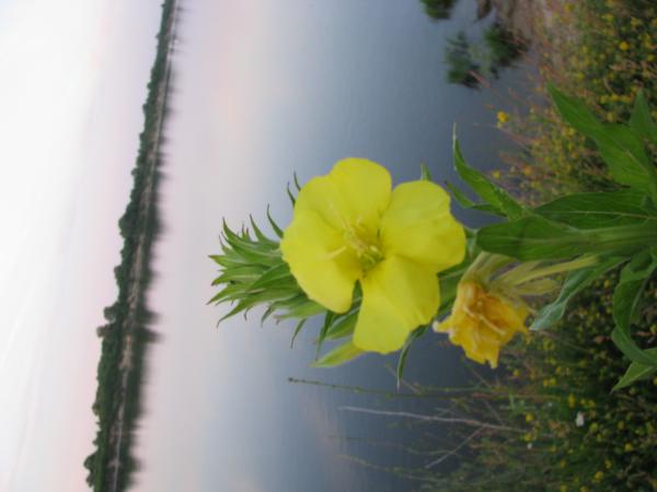 Изображение 141