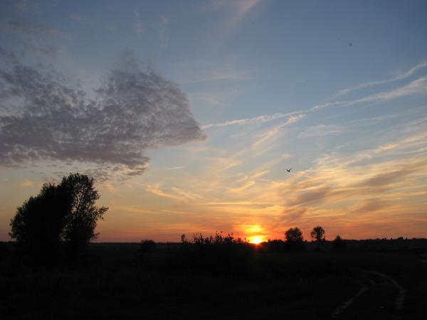 Изображение 142