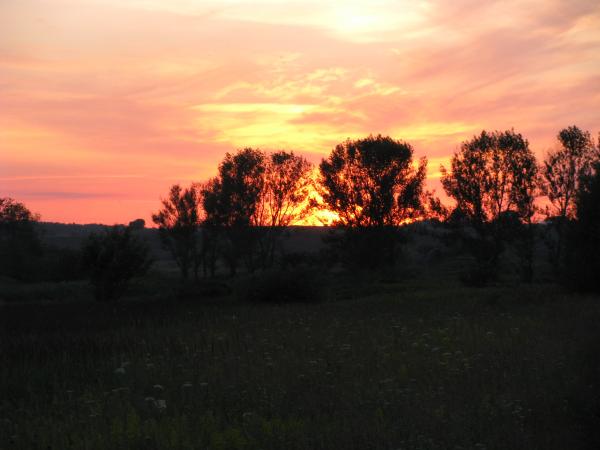 Изображение 145