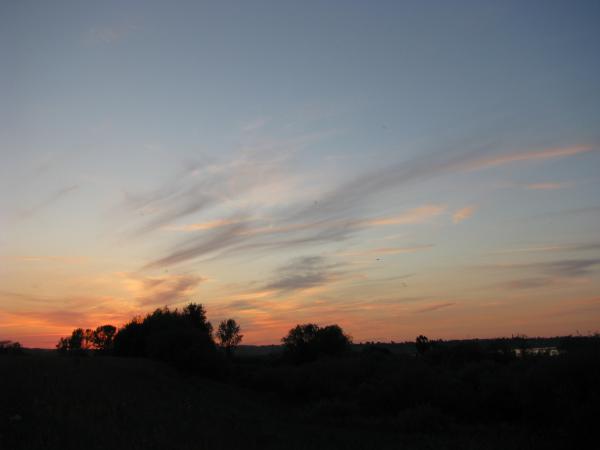 Изображение 153