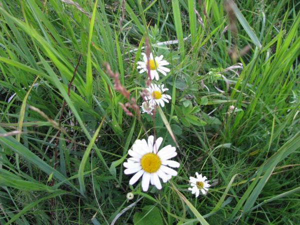 Изображение 154