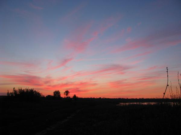 Изображение 160