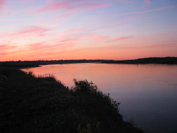 Изображение 161