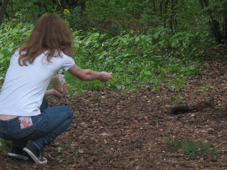 Лирка кормит белок (а потом берет много пива и с помощью меня проэктирует новых)