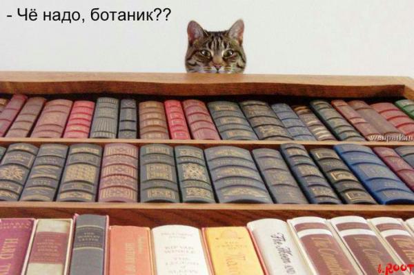 Чё надо ботаник?