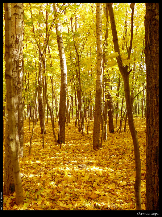 Нижний Новгород. Парк "Швейцария".