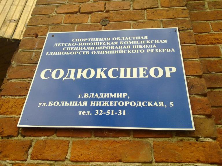 Цитадель ДЮСШей.Владимир