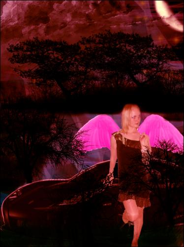 Розовый Ангел