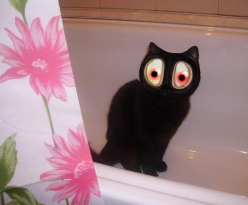 так принято в китае