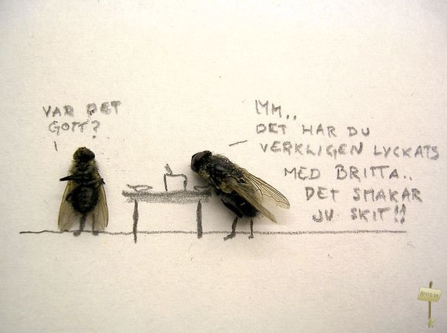 1255273306 1255023238 1254928597 muhi 8