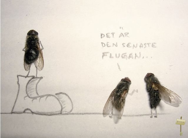 1255273293 1255023301 1254928568 muhi 10