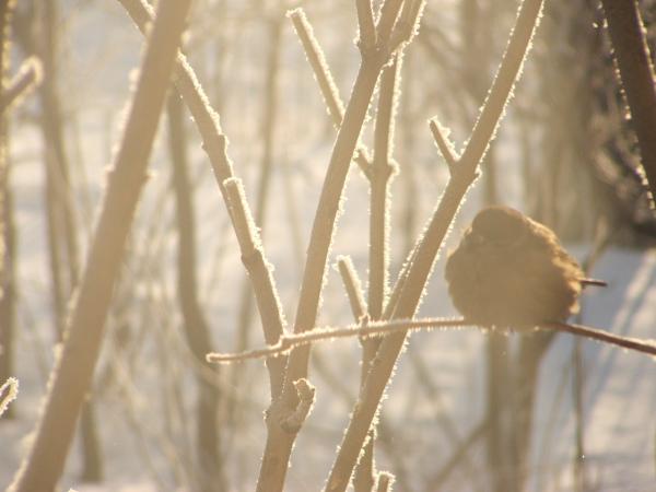 Изображение 0066