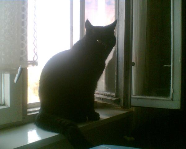 Фотьроьрпо003