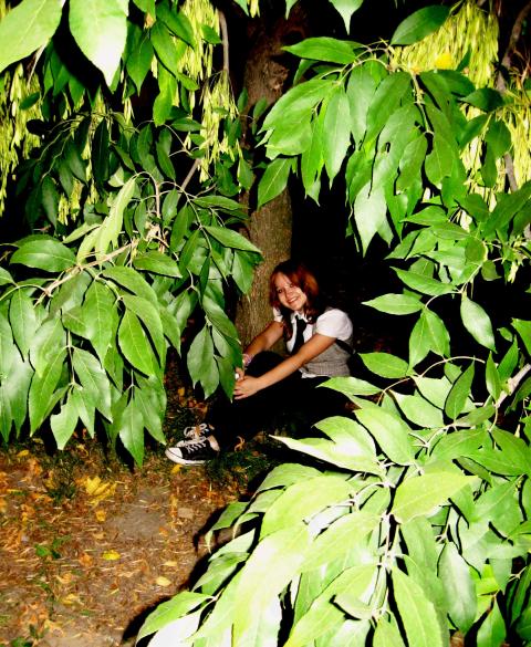 Изображение 897