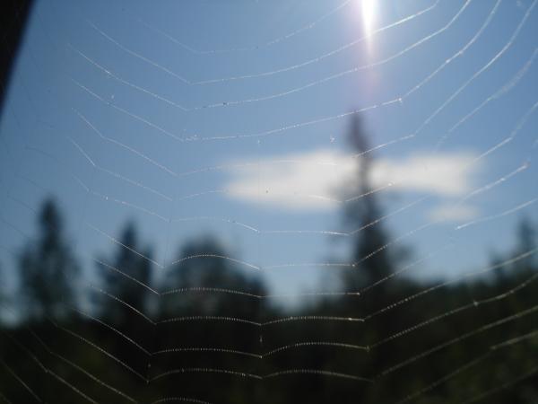 Изображение 271