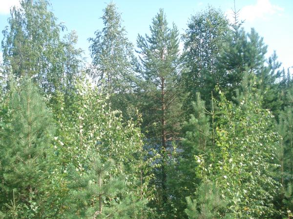 Изображение 280