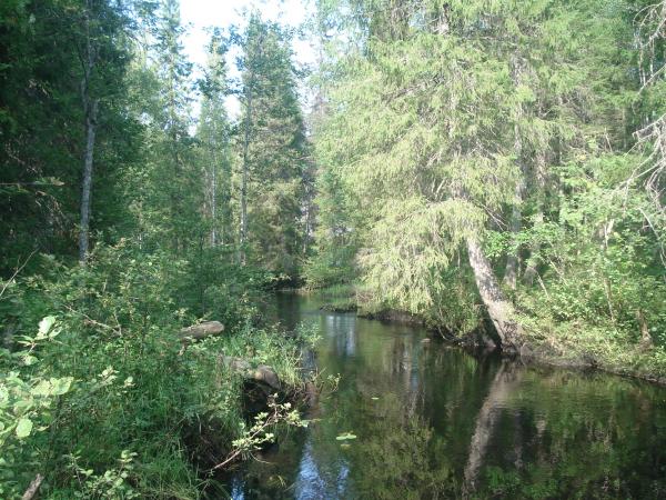 Изображение 290