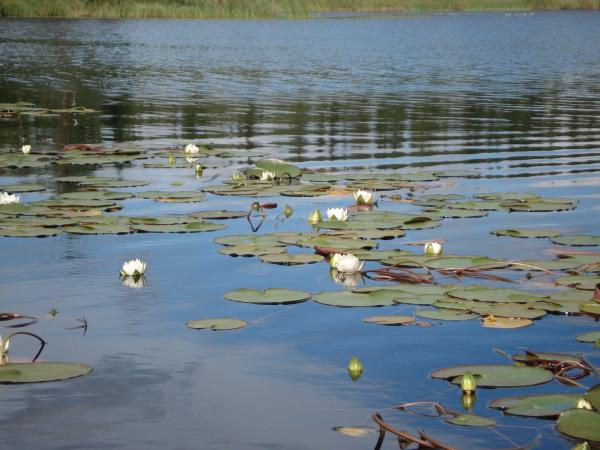 Изображение 323