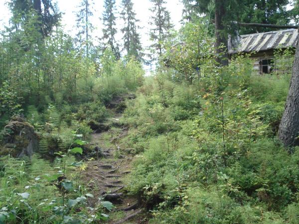 Изображение 366