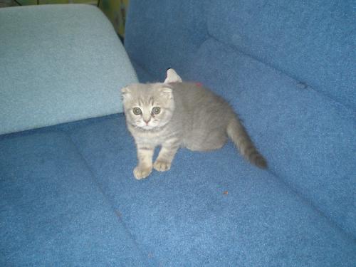 моя любимая.