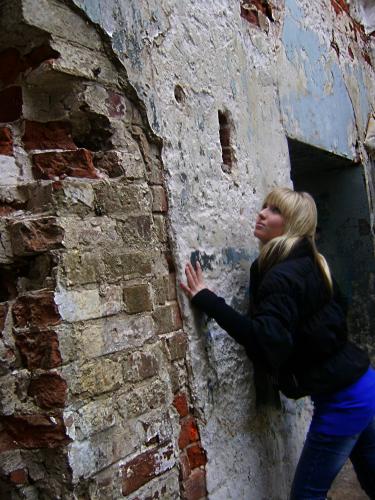 Изображение 523 hf