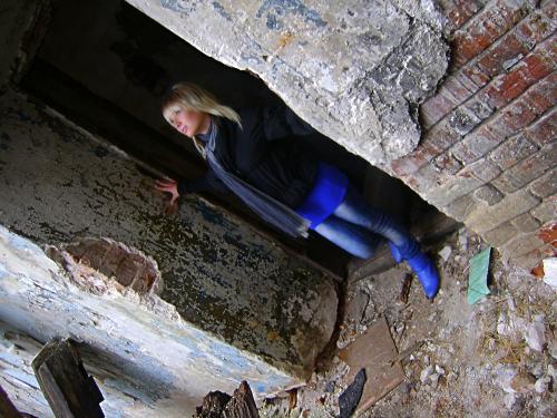 Изображение 533 hf