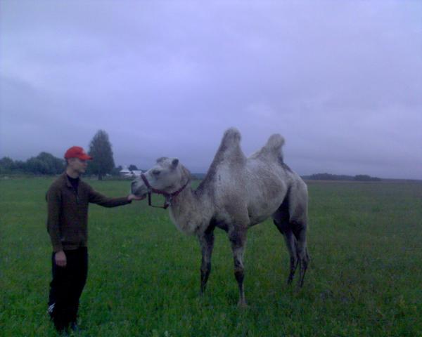 у меня в деревне