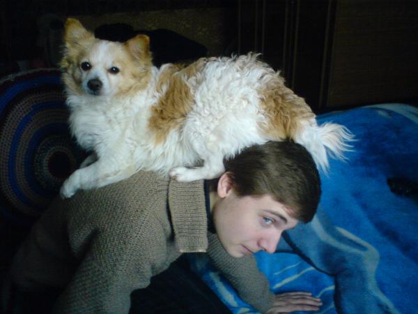 мой волкодав