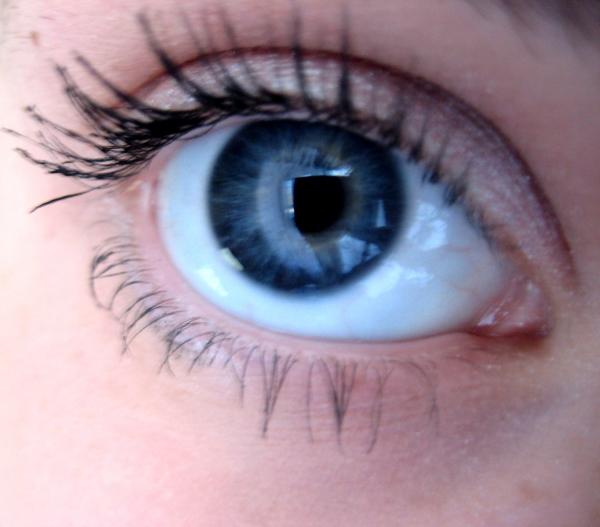 Снова ЗенкО