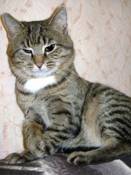 разбудили..)