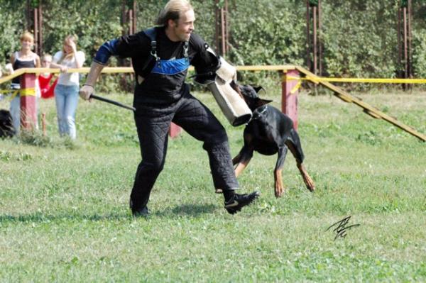 Индиго на защитке