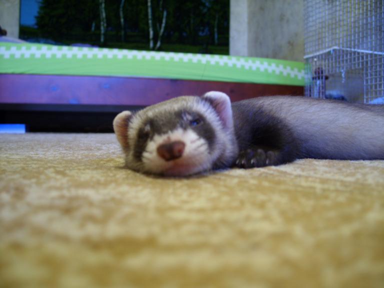 Первый день на новом месте - конец июля 2008 г.