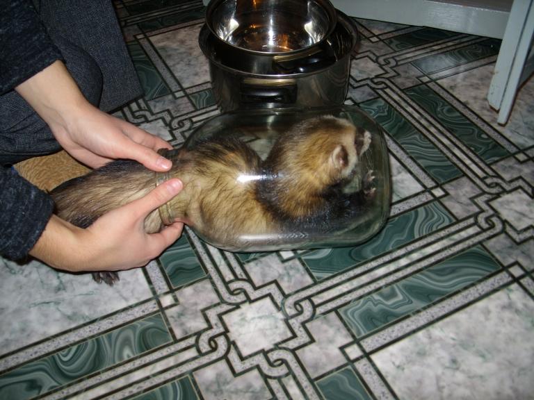 Делаем из Степы джинна