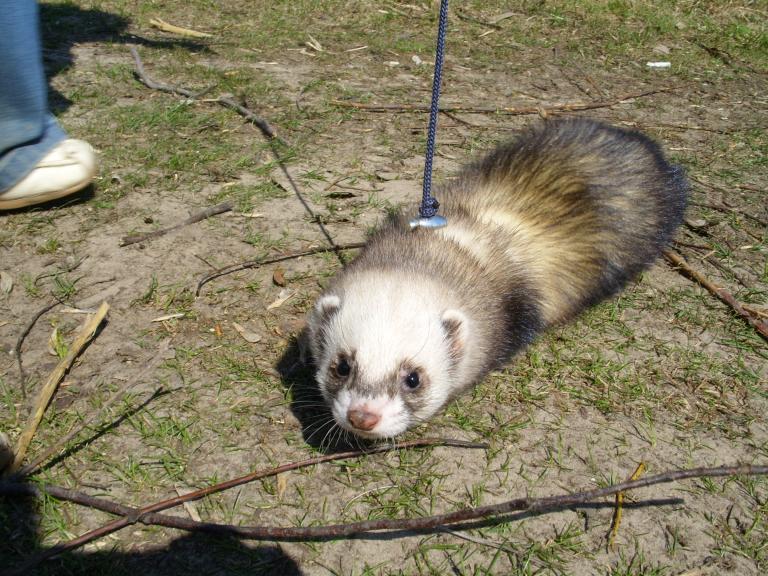 На природе (осваиваемся)