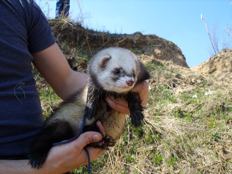 На природе (под откосом у Оки)