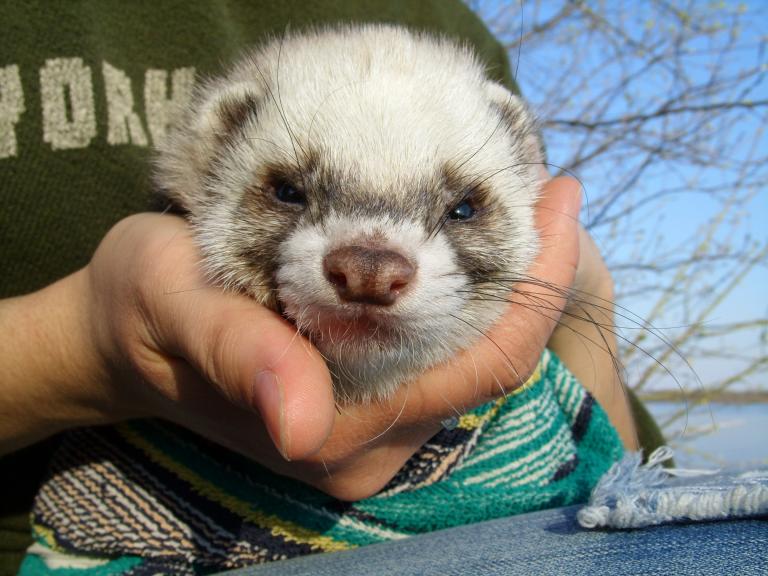 На природе (ну, покажи мордочку)