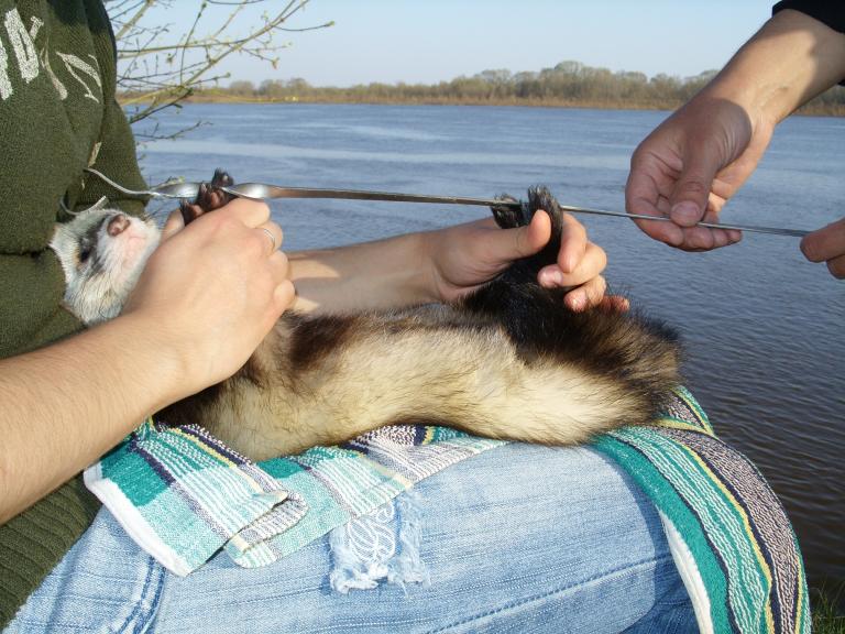 На природе (Мясо у нас закончилось. Извини, Степаш)