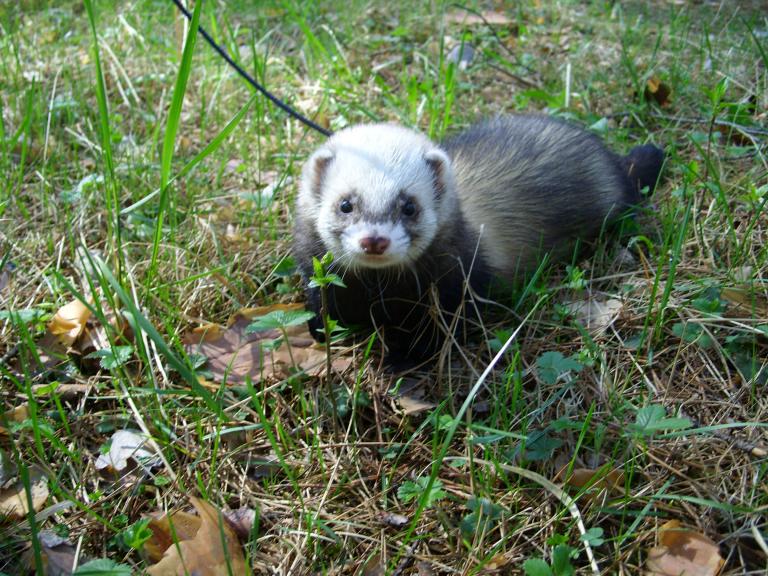 В Выксе (позирует)