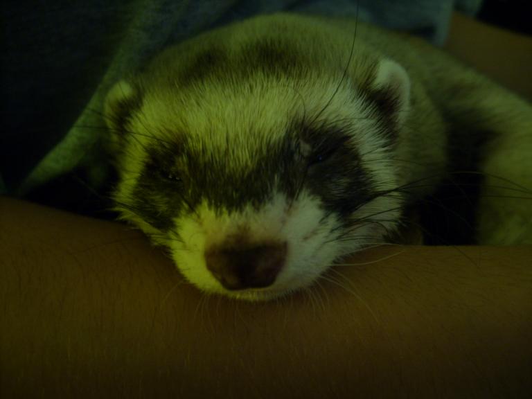 Голубоглазый =)