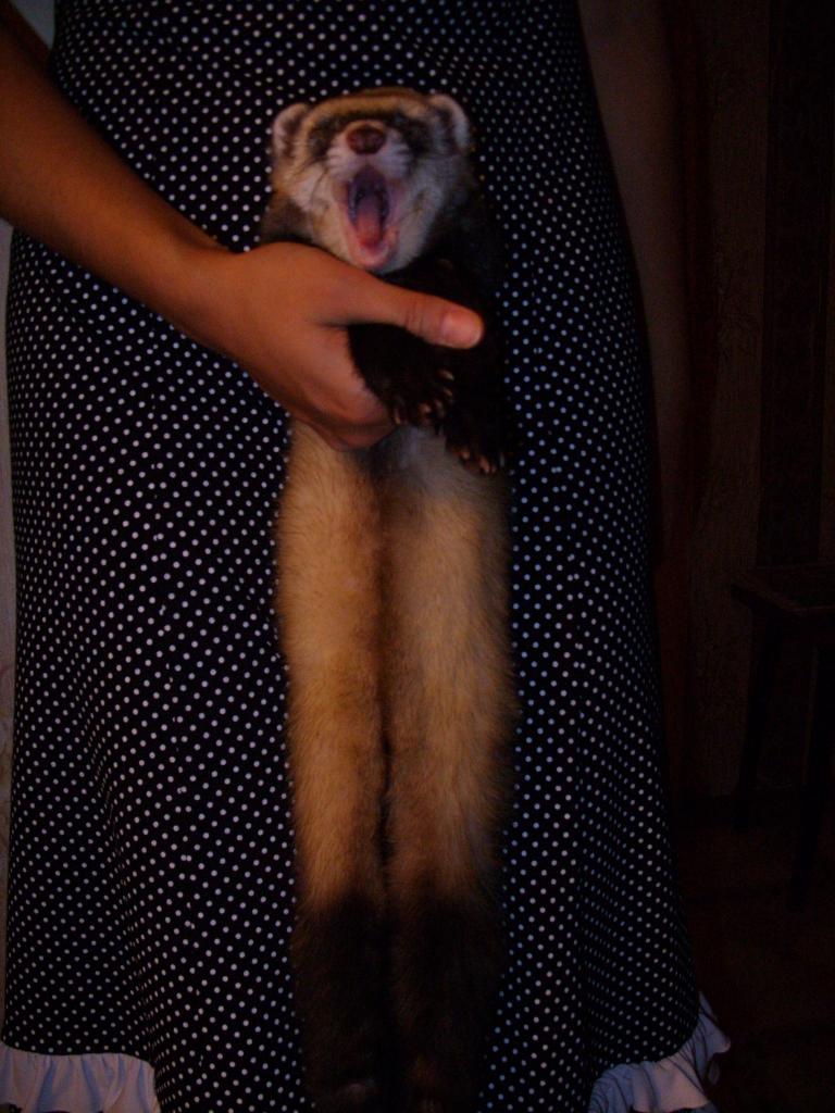 Фоткались на хорячий паспорт