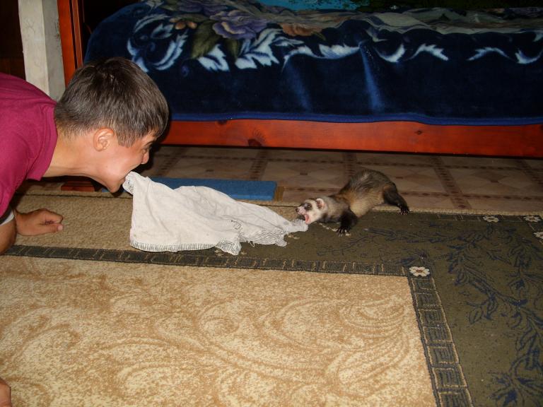 Бой за тряпочку