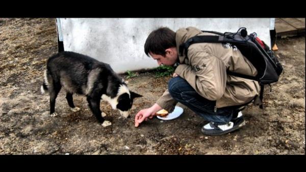 поделись хот догом с собакой.