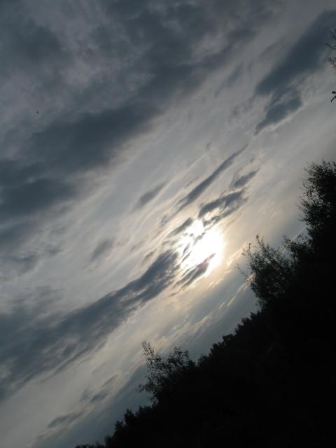 лес и тучки