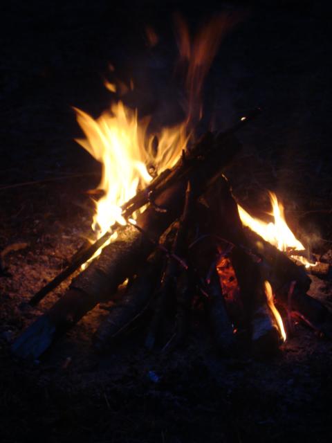 костерчегг))